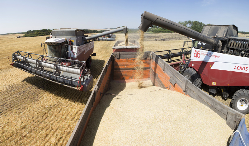    Nikolay Gyngazov/Global Look Press