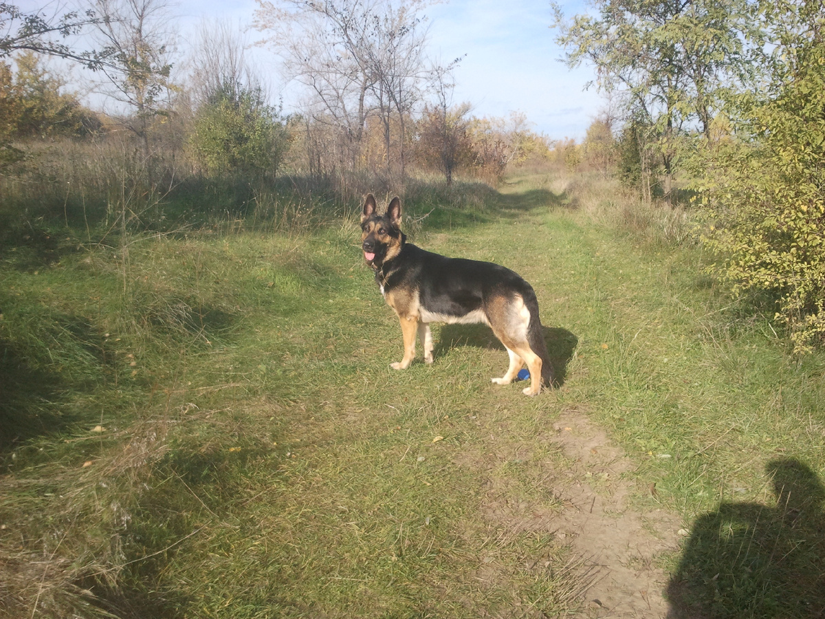 Фото автора