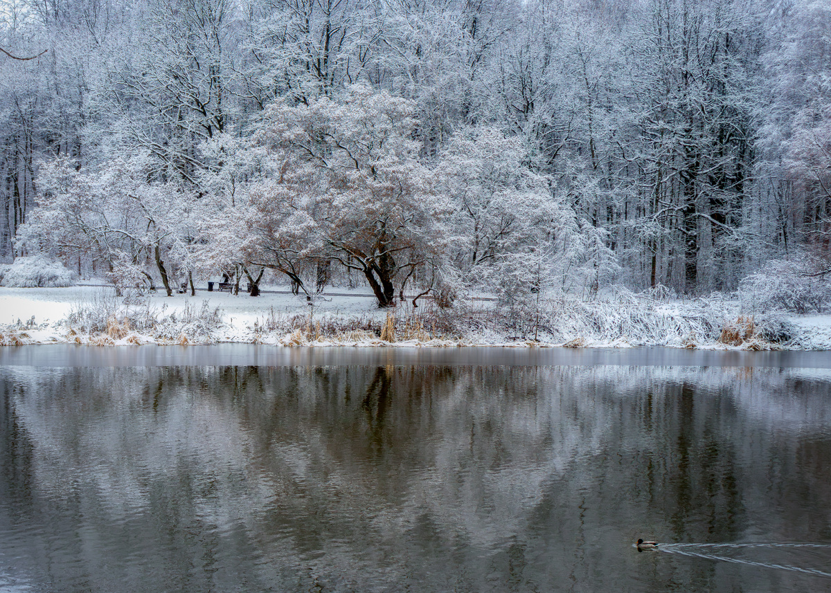 Снежные кружева