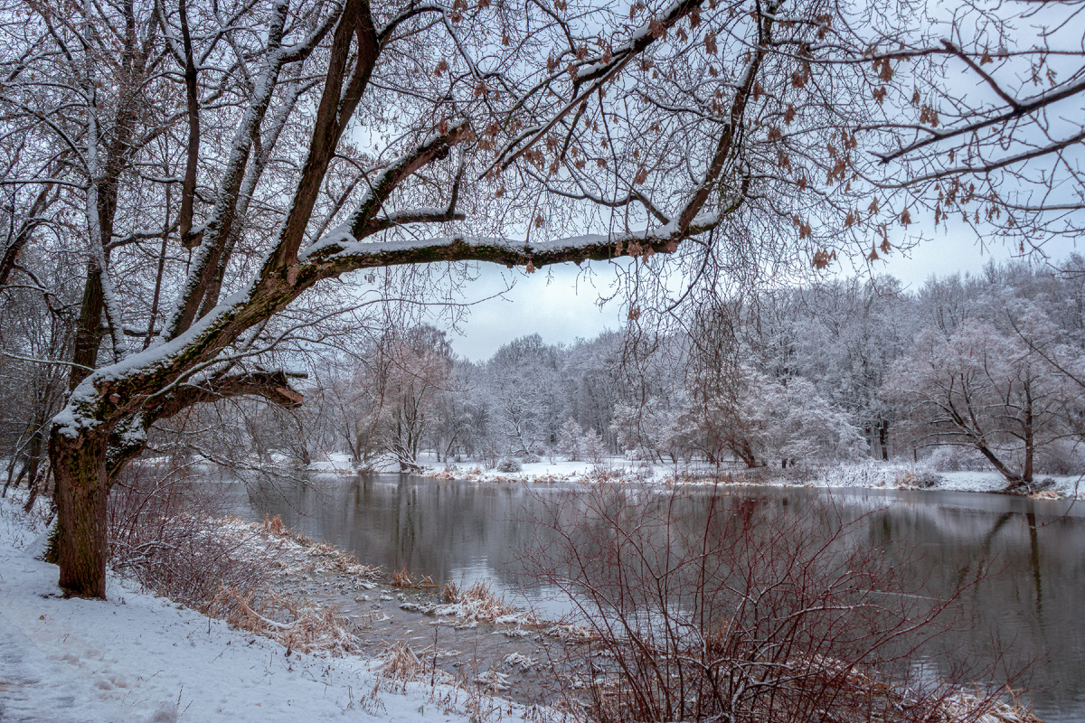 Вид на Первый Каменский пруд