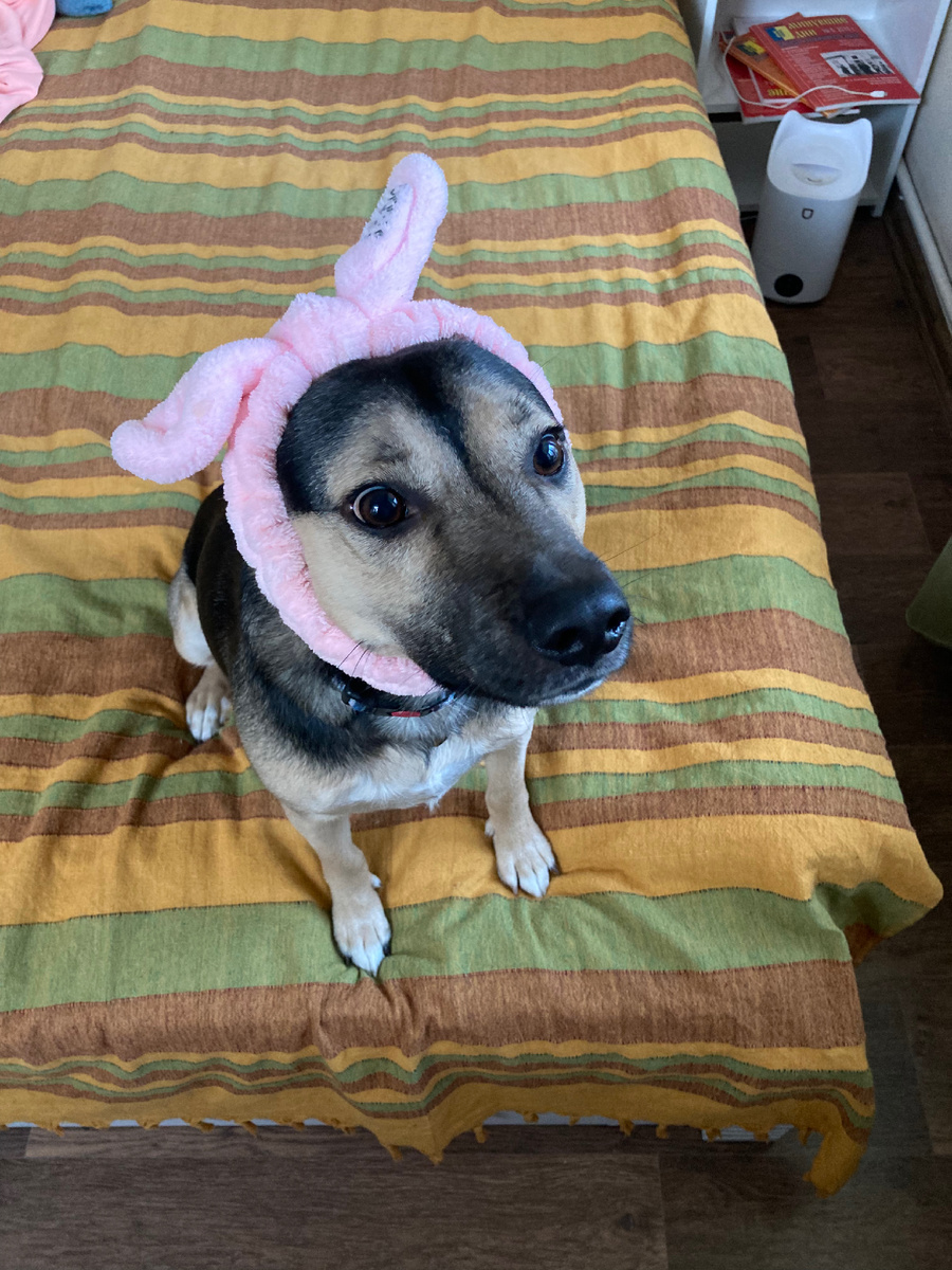 Утяжеление. Зовут Фёдор. Хороший мальчик.