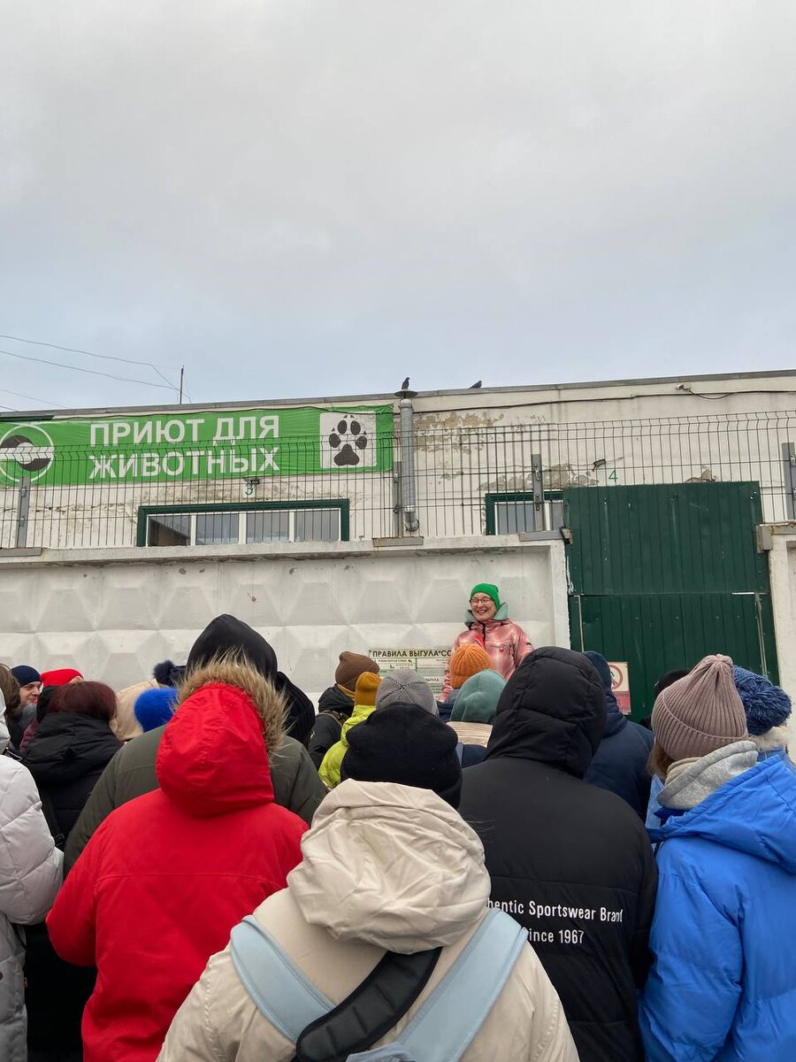 День открытых дверей в приюте собак в Екатеринбурге