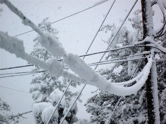    © администрация Александровского округа