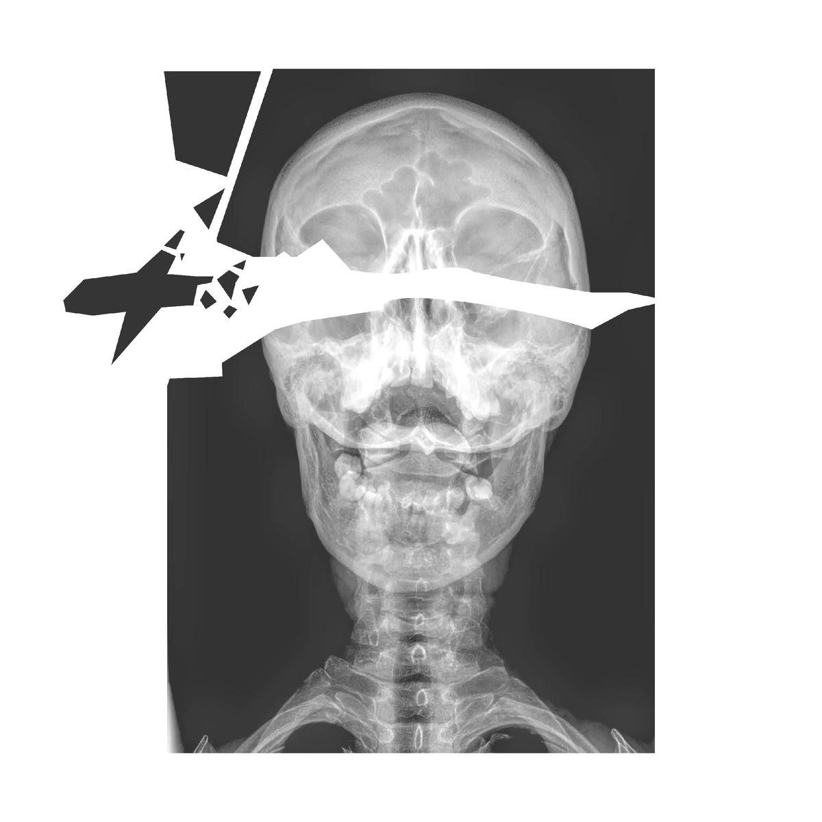 Разработка эскиза будущей обложки