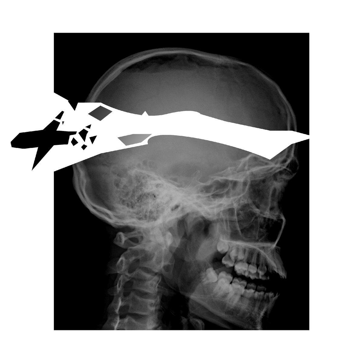 Разработка эскиза будущей обложки