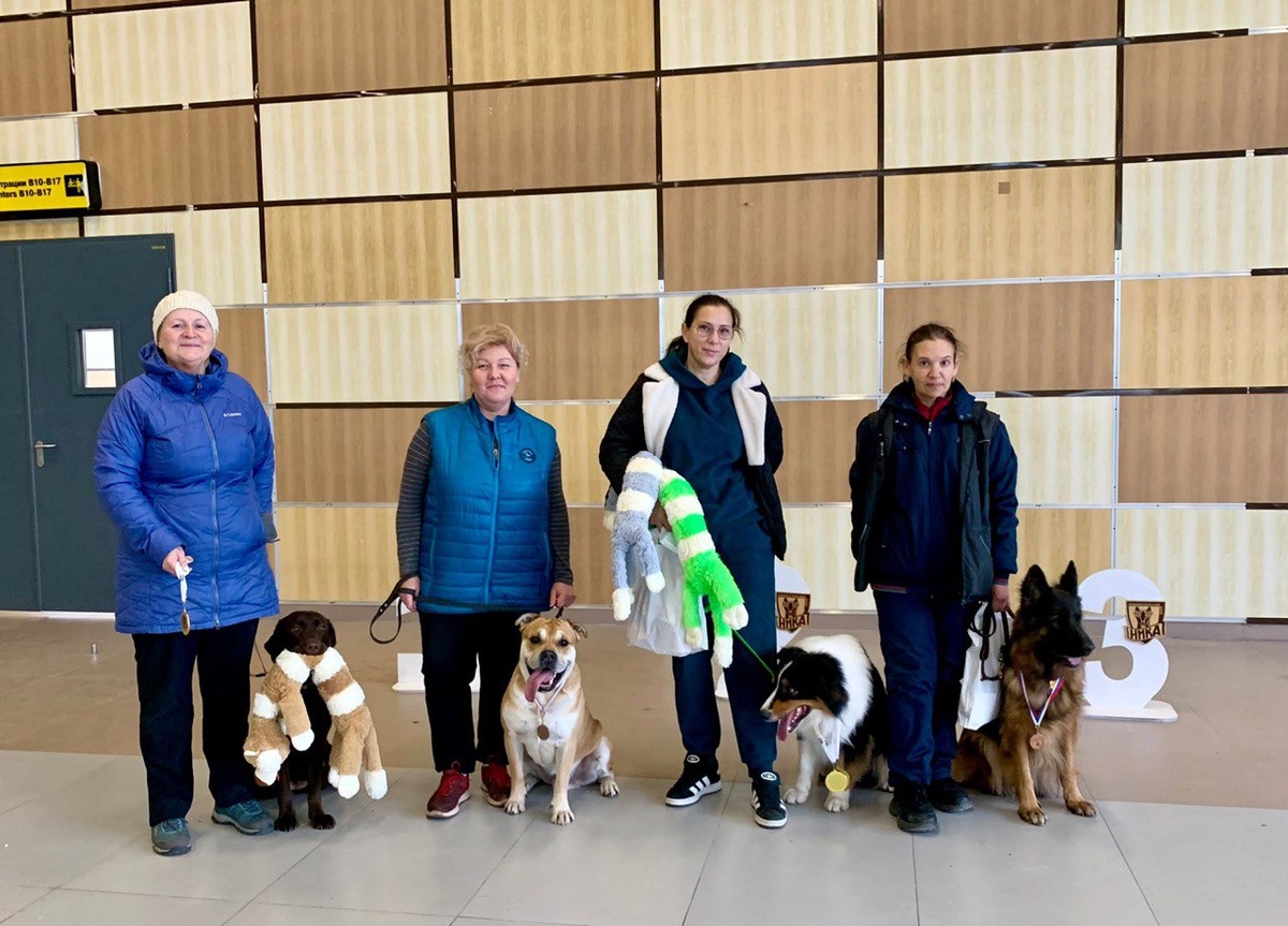 Наша команда