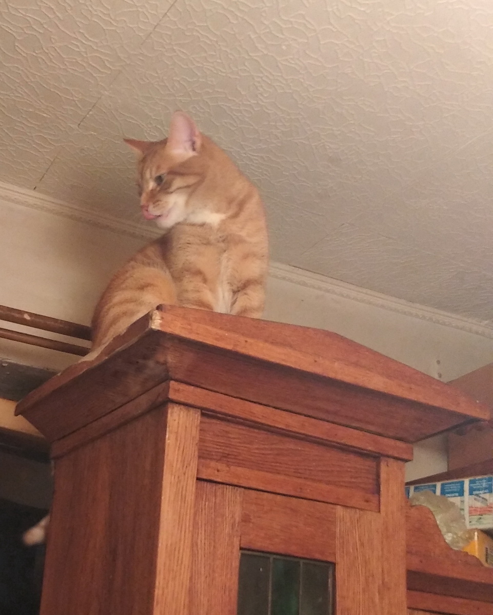 Личное фото