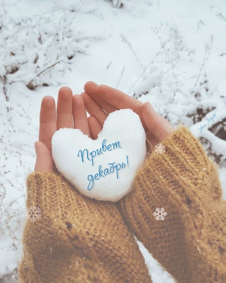 Фото из сети Интернет