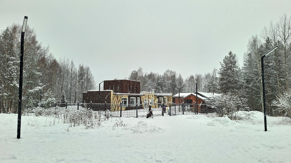 Снег идёт. Красота