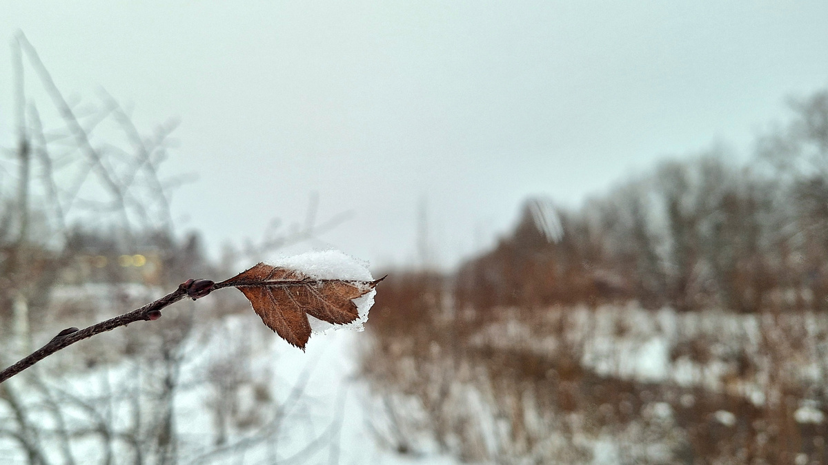Держится как может, и у него получается