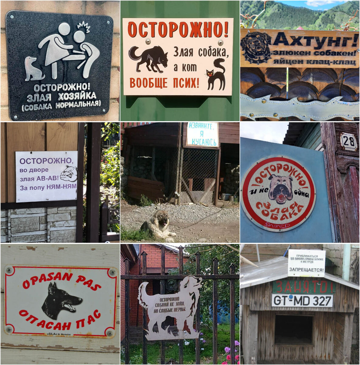 Авторы этих фотографий: 1 - товарищ маузер, 2 - Лили Марлен, 3 - Путешествия оптимистки, 4 - Марина Сигачева (Василишина), 5 - Лилиана Ганатаускас, 6 - Ирина Лукина, 7 - Weber, 8 - Оксана Шевелева, 9 - Карина Литвинова.