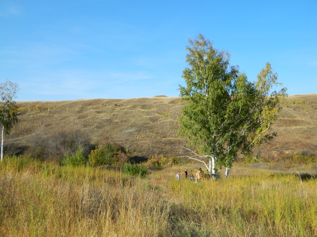 Рис. 1. Следы древних каргалинских рудников.