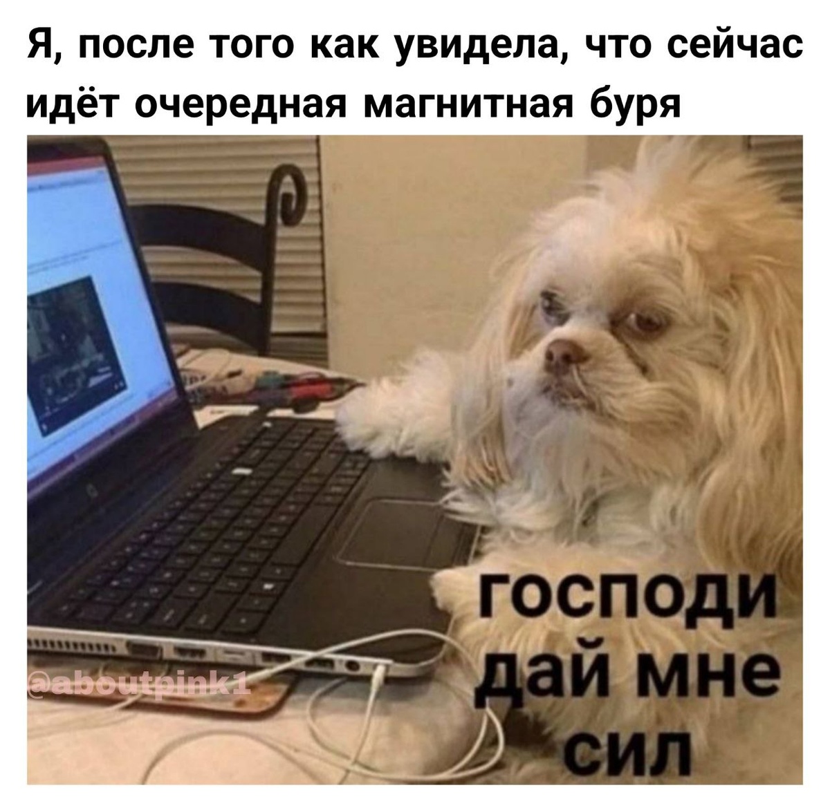 больше контента в моем тгк -- @aboutpink1