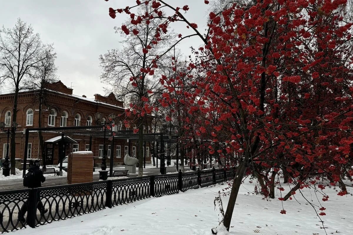 Фото: UfacityNews.ru