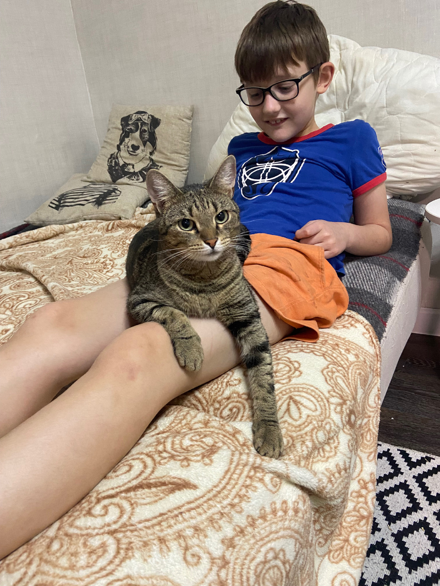 Кошенька: «убери подушку с собакой, не позорься!»