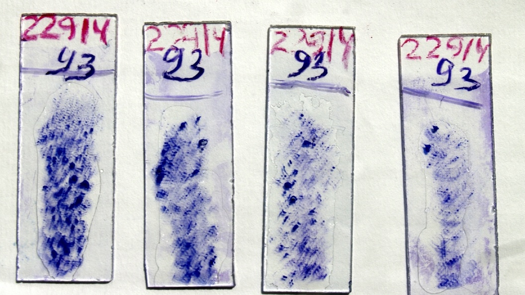    Фото: Alexander Legky/Global Look Press