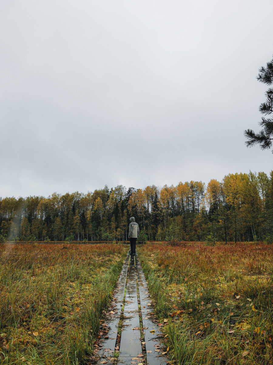 Тропа из настилов на красивейшем озере Моховское