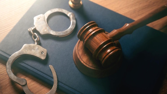    Экс-замглавы Минтранса арестован по делу о мошенничестве в особо крупном размере Роман Захаров