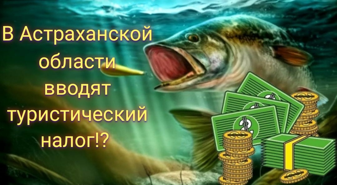 Фото взято из общего доступа Яндекс картинки. 