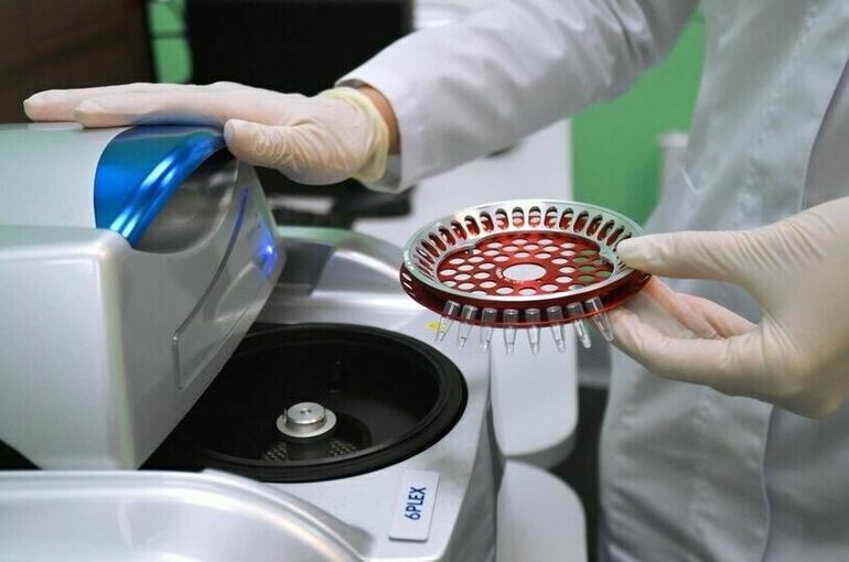   Владимир Песня/РИА Новости