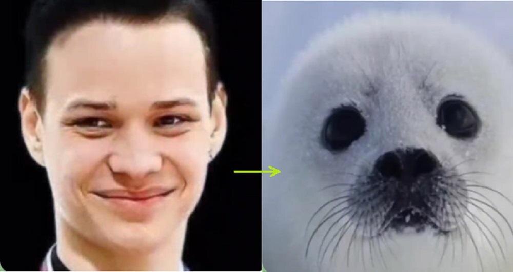     Коллаж. Фото — соцсети Фотография взята из открытых источников.