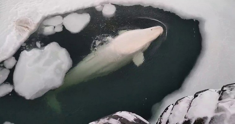 Фото: соцсети 