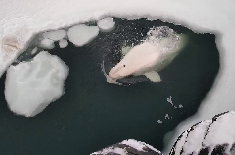 Фото: соцсети