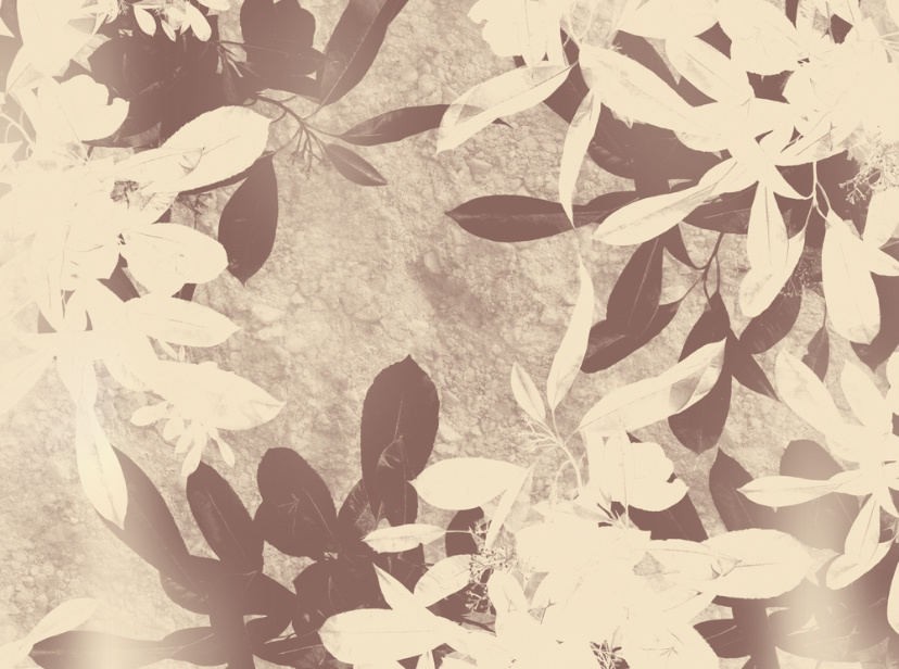 Иллюстрация автора 