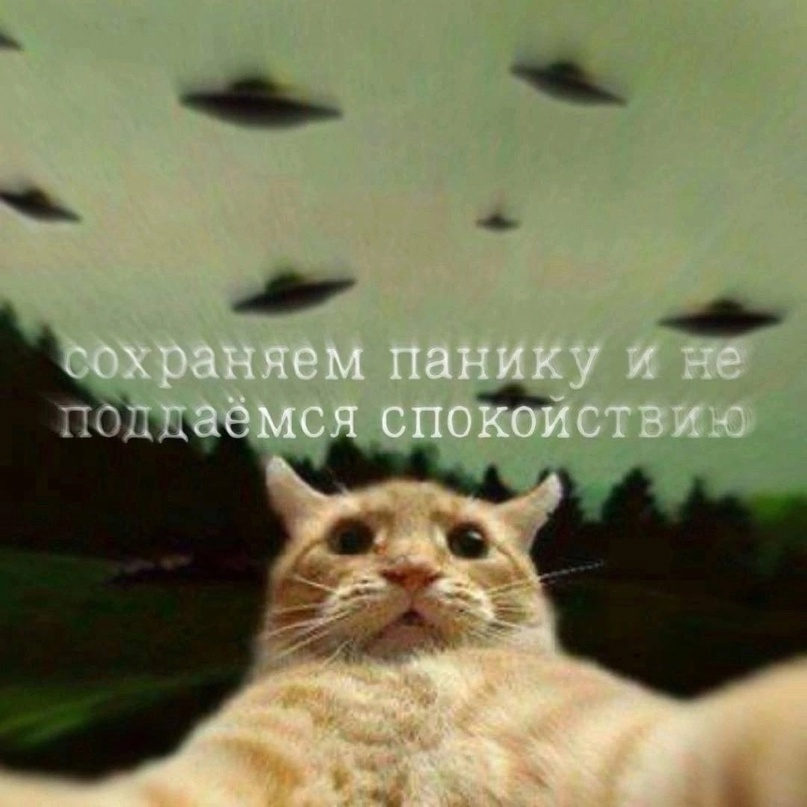 в каждой шутке есть длля шутки...