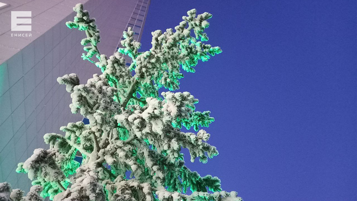     В Красноярске на рабочей неделе будет тепло и пасмурно