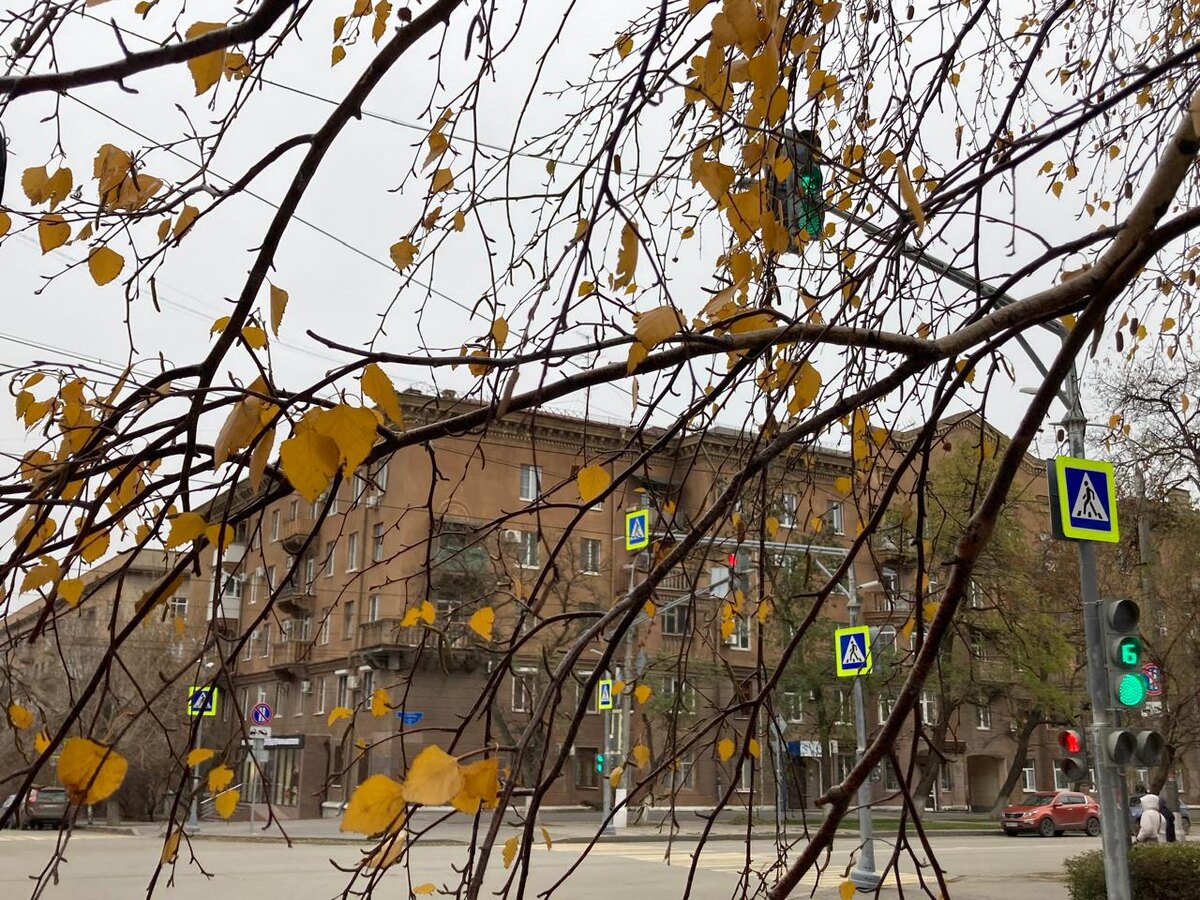 Это пересечение улицы Советской и улицы Порт-Саида. 