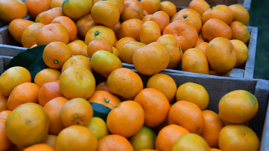    Фото: © РИА Новости/Томас Тхайцук