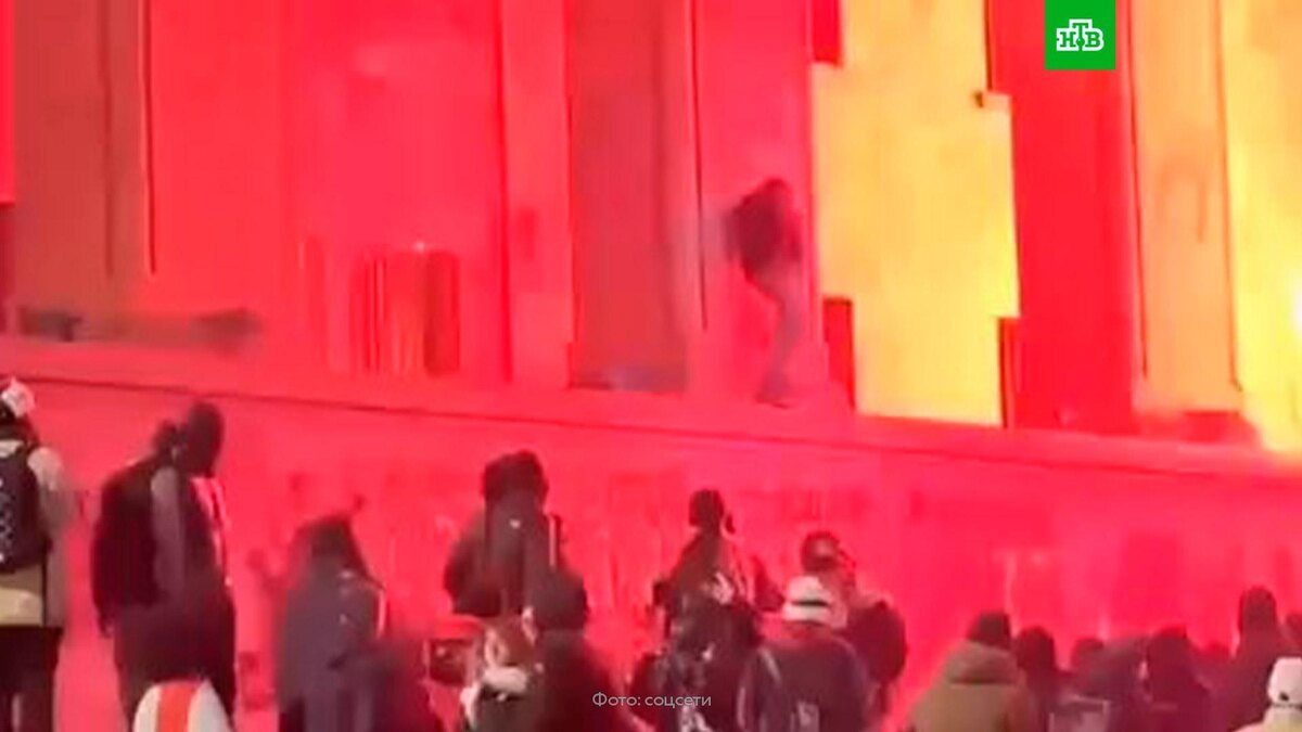    Протестующие устроили пожар в здании парламента Грузии