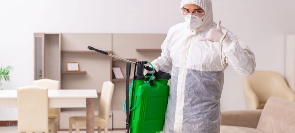 Уничтожение насекомых в районе Печатники  Москва