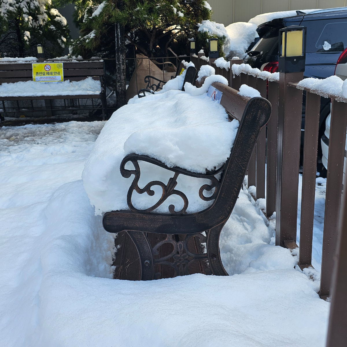 Заказ Ви: столько снега в ноябре не выпадало НИКОГДА!