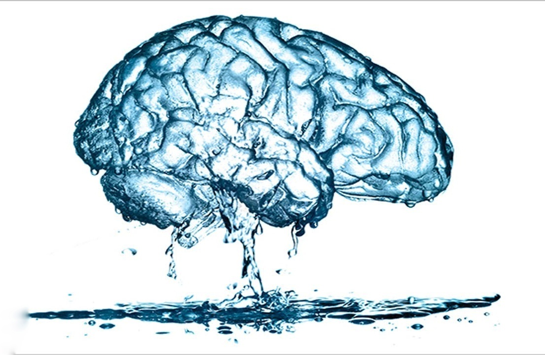 Мозг, наиважнейший орган, а вода – это наиважнейшая составляющая, необходимая для его полноценного функционирования. Фото из интернета