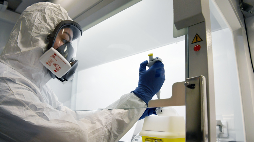    Фото: © РИА Новости/Максим Богодвид; 5-tv.ru