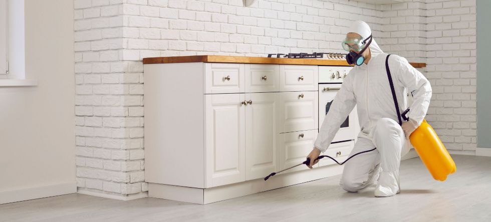 Уничтожение насекомых в район Крестьянская застава Москва