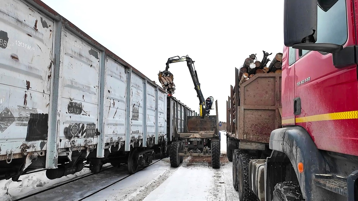    Из Югры в зону СВО отправили партию лесоматериалов