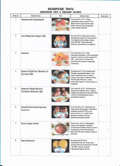 Каталог высокорослых томатов. Листайте галерею.