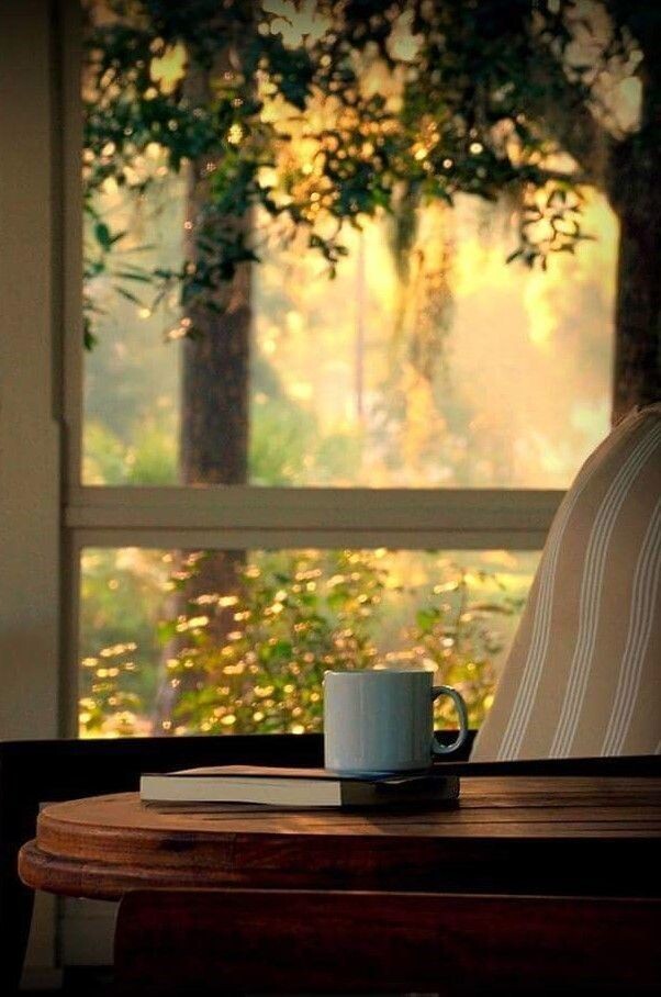 Фото взято из интернета в свободном доступе.blob:https://dzen.ru/2bfdaf88-e99e-436a-a103-5d77160cf00c