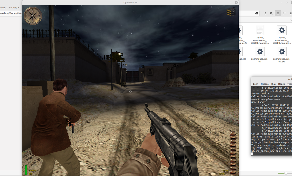 Medal of Honar Allied Assault запущенная в LinuxMint 20.04