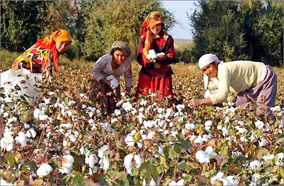 Фото из открытых источников. 