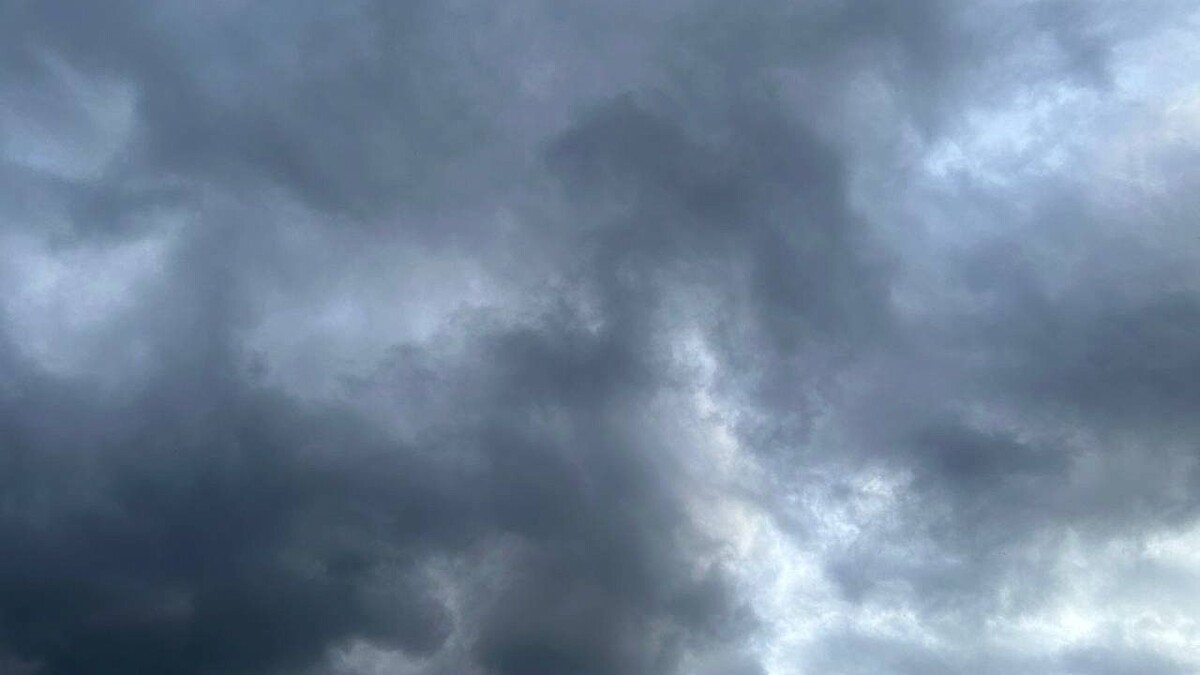    Фото: телеканал «Краснодар»