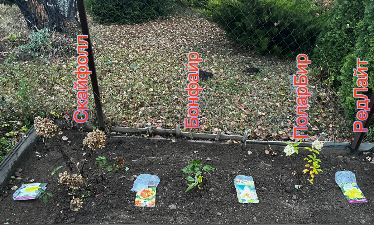 Может, так запомню, что где растет? 