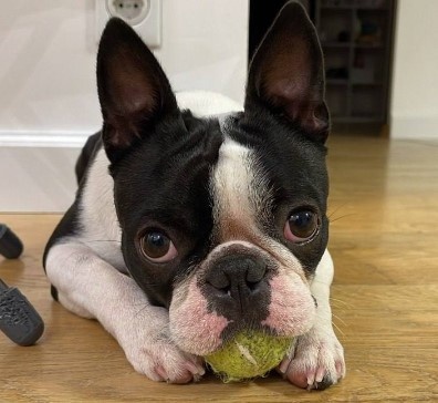    © ТГ-канал Эдуарда Соснина