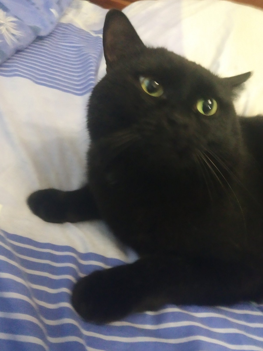 Фото автора.