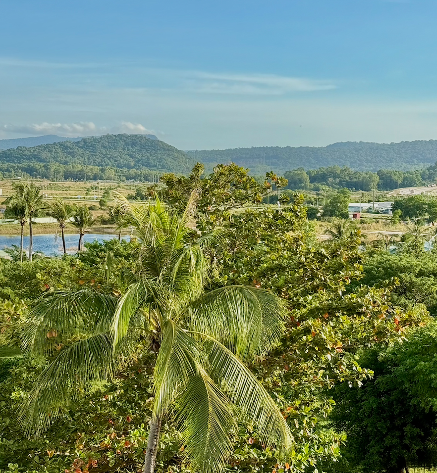 вид на наш район :)