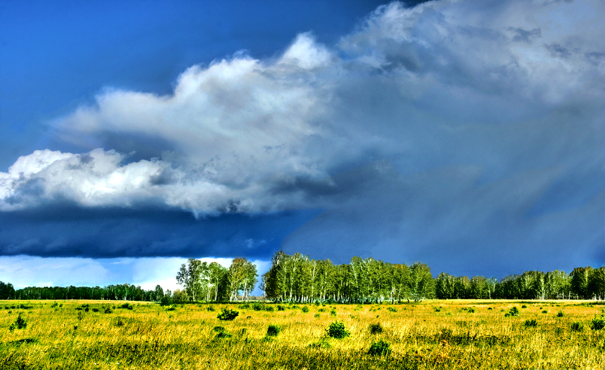 Фотография, стихотворение Василия Глуцкого