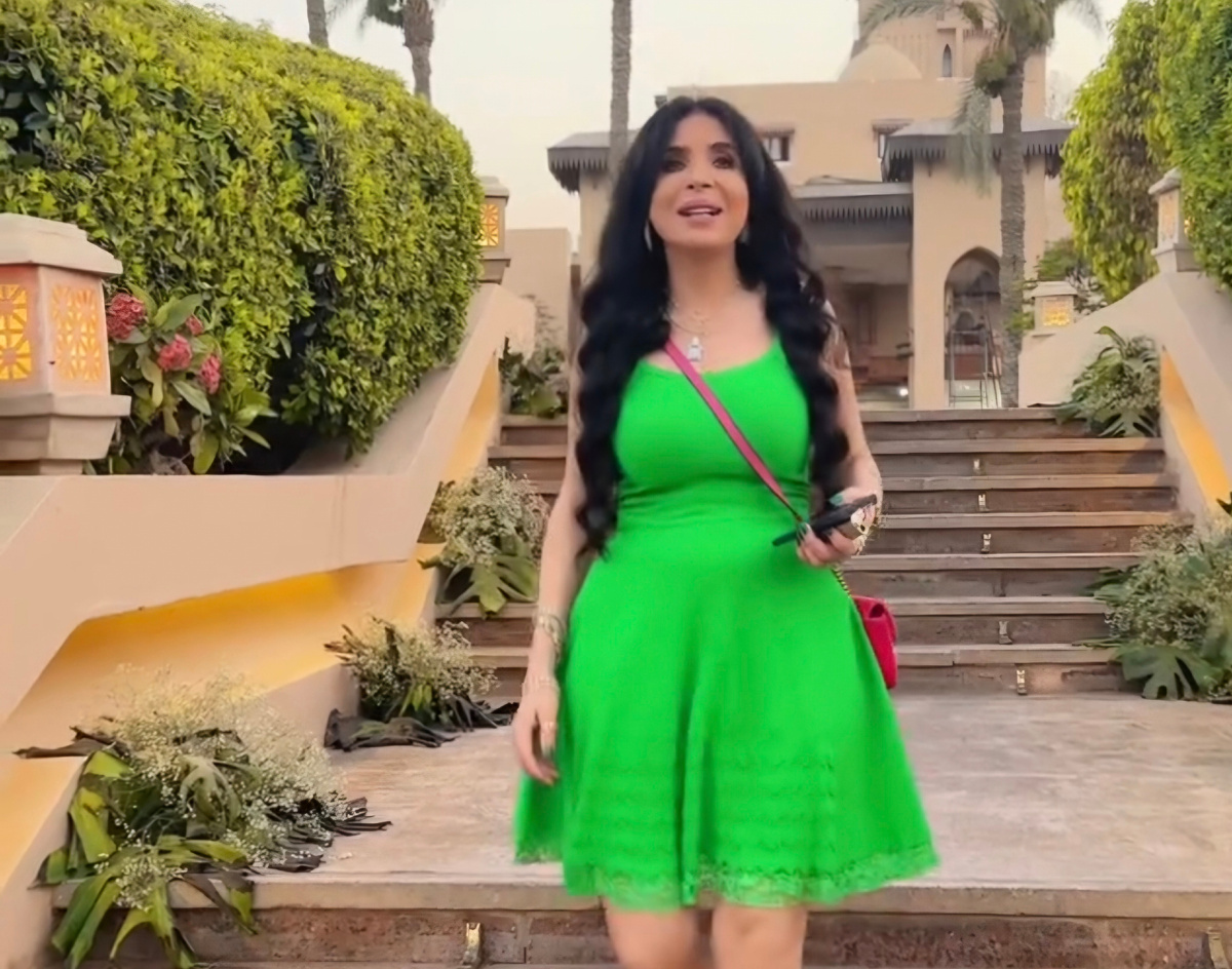 Дина Талаат в 2024